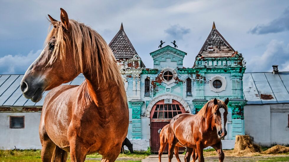 Для страницы Реклама и Спецпроекты. Анонс Фотопроекты Для страницы Реклама и Спецпроекты. Анонс Фотопроекты - «Россия сегодня», 980